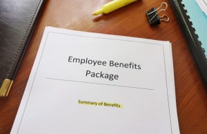 employee benefits plan audit